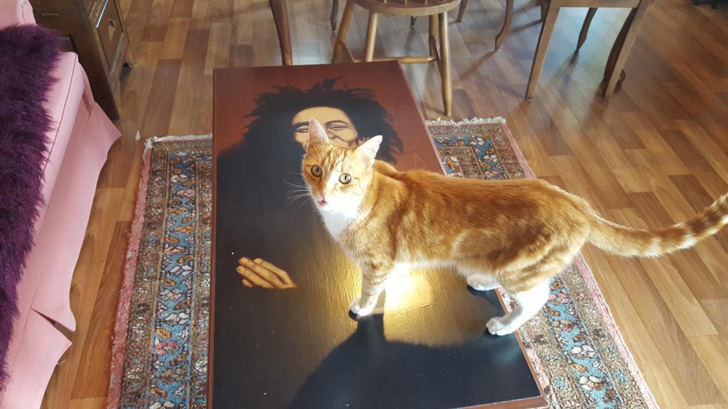 The Bohemian Art Studio Creswick Dış mekan fotoğraf