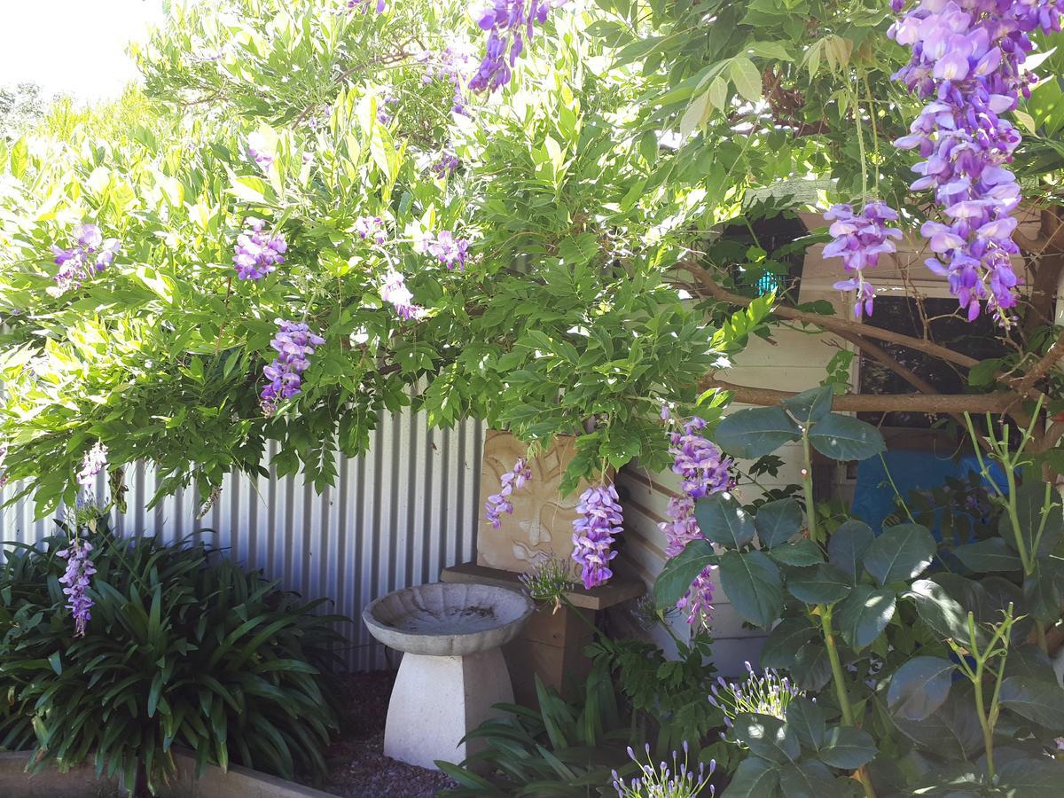 The Bohemian Art Studio Creswick Dış mekan fotoğraf